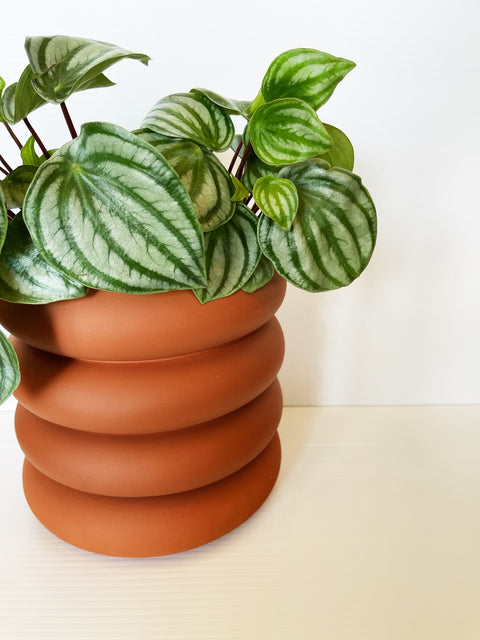 Stacking Planters