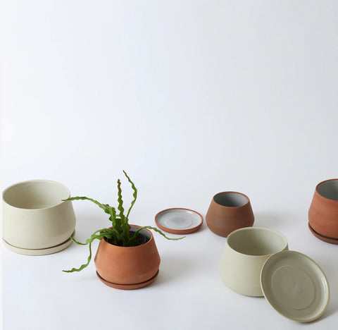 Rancho Planters
