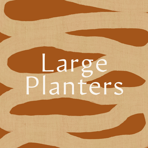Large Planters