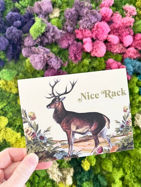 Nice Rack Funny Deer Card