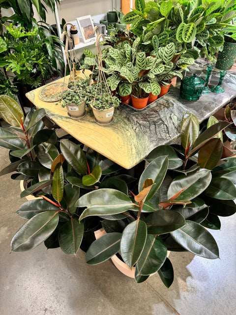 Vintage Mid-Century Cipollino Italian Marble Table