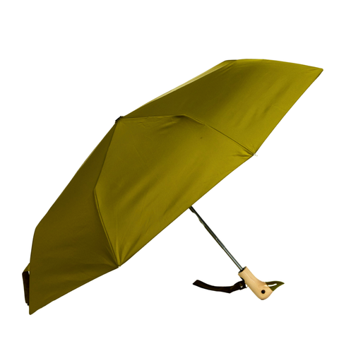 Duck Umbrellas