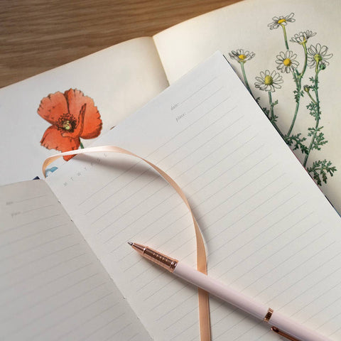 Mushrooms | Linen Journal