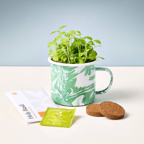 Herbs Mug Grow Kits