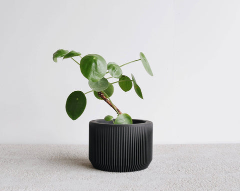 jungle plant pot Praha Planter with Tray – Jungle & Loom