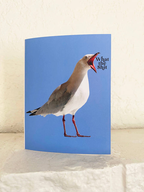 What the Shit Funny Seagull Card