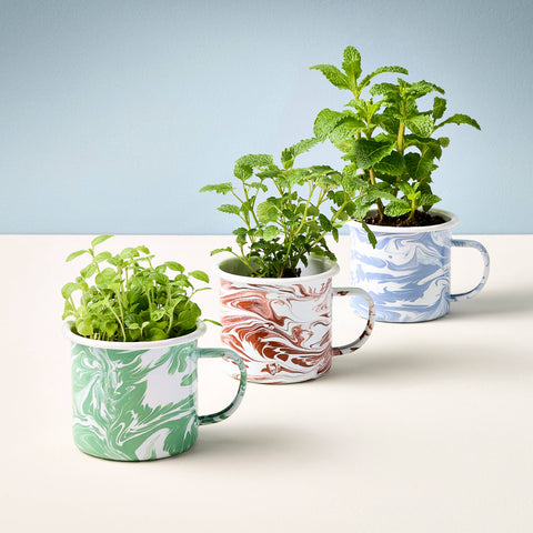 Herbs Mug Grow Kits