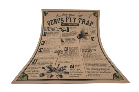 Venus Flytrap | Seed Grow Kit