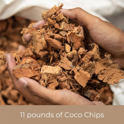 Coco Chip Chunky Houseplant Soil