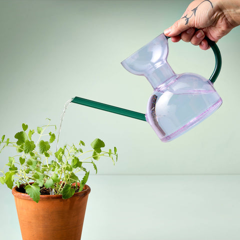Glass Watering Can