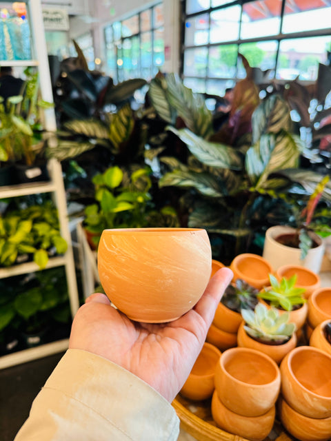 Marbled Sphere Planter