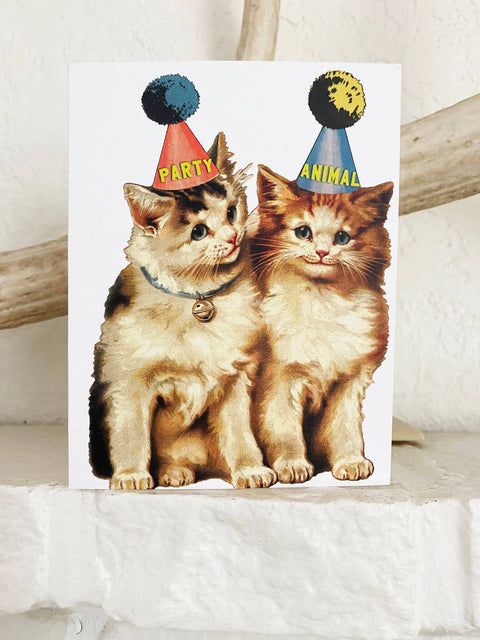 Party Cats Funny Card