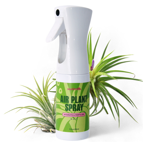 Air Plant Fertilizer Spray