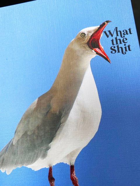 What the Shit Funny Seagull Card
