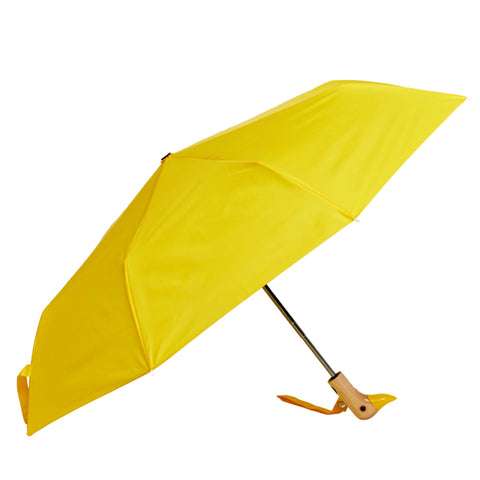 Duck Umbrellas