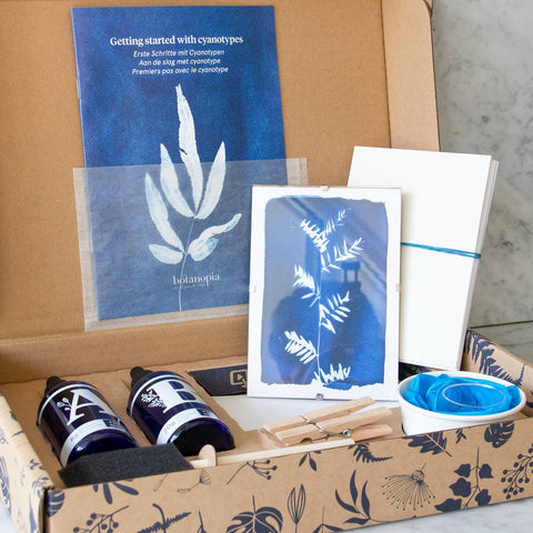 Cyanotype Kit DIY Sun Prints 🌞