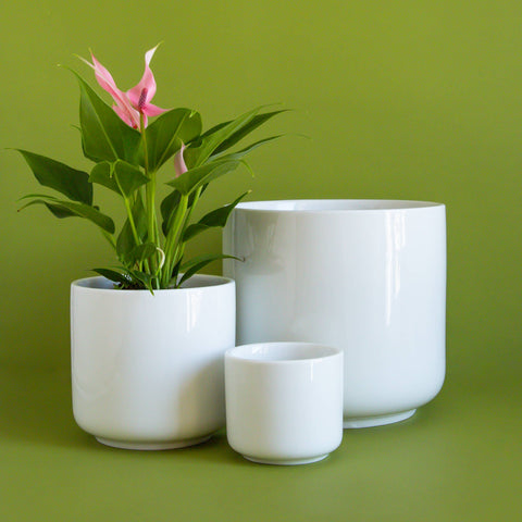 charlie plant pot Charlie Pot