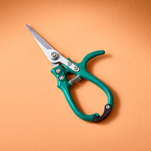 Shears - new colors!