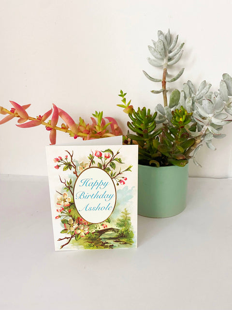Happy Birthday Asshole Card