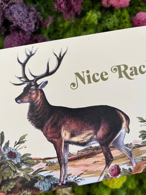 Nice Rack Funny Deer Card