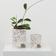 Archie Planter