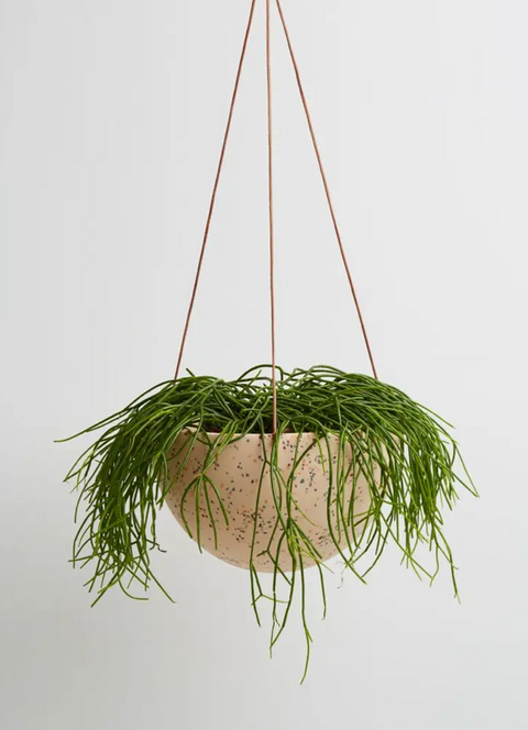 Terrazzo Dome Hanging Planter