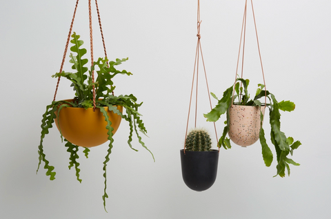 Terrazzo Dome Hanging Planter