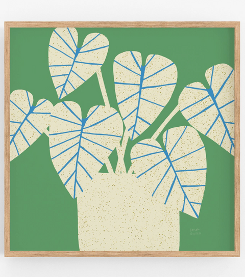 Philodendron Gloriosum Houseplant Print