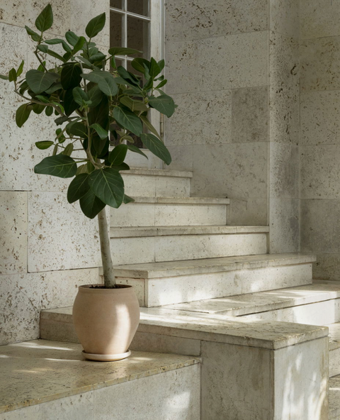 Delphi Planter