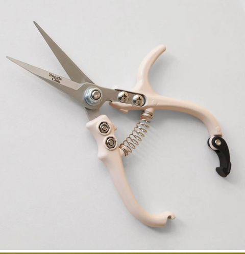 Pruning Shears