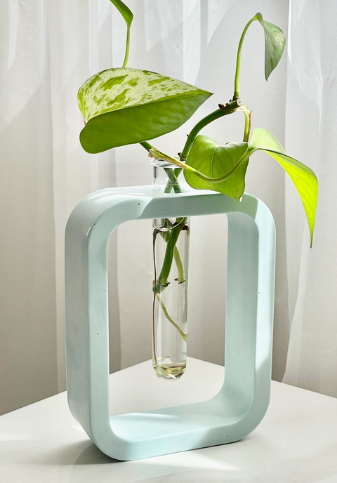 Cement Plant Propagation Vase