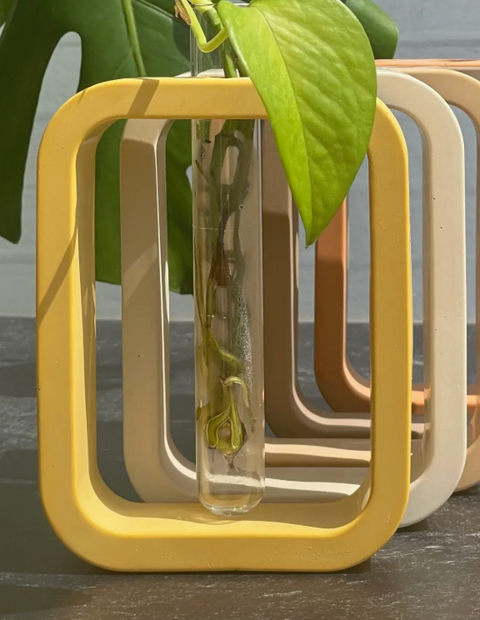 Cement Plant Propagation Vase