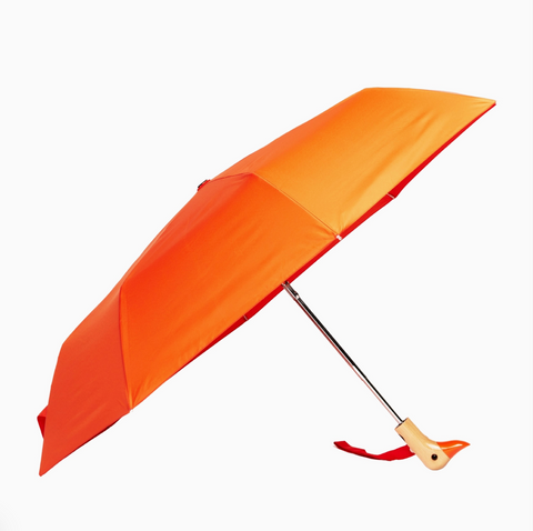 Duck Umbrellas