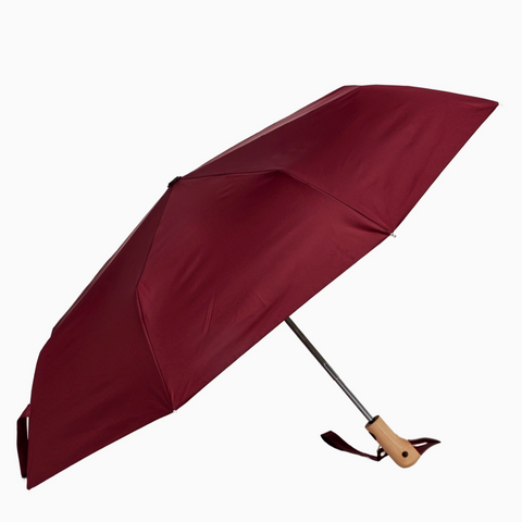 Duck Umbrellas