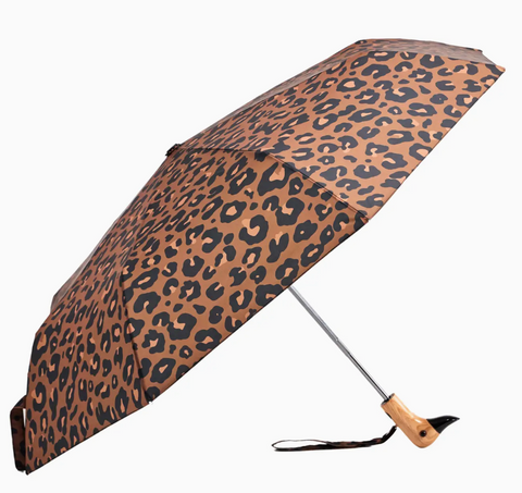 Duck Umbrellas