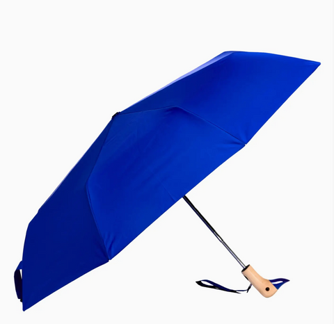 Duck Umbrellas