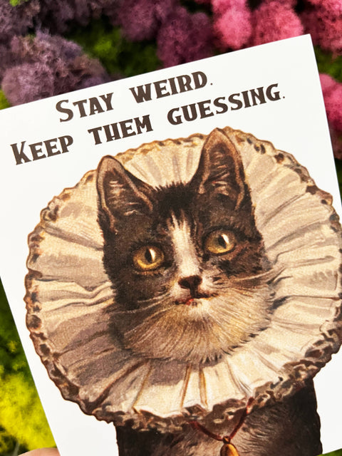 Stay Weird Funny Kitty Card