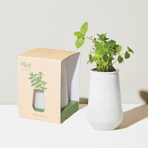 Tumbler Herb Grow Kit