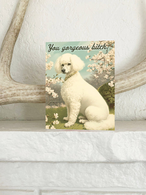 You Gorgeous Bitch Funny Card