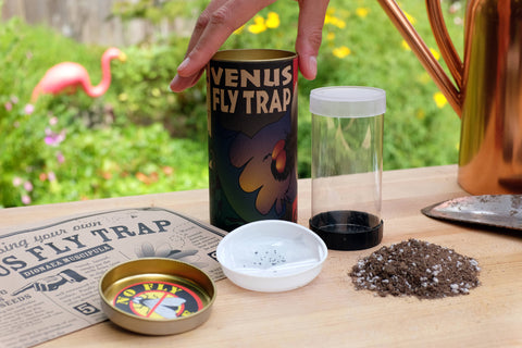 Venus Flytrap | Seed Grow Kit