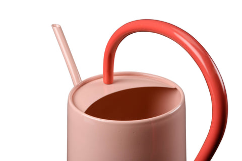 Blush Scalloped Watering Can