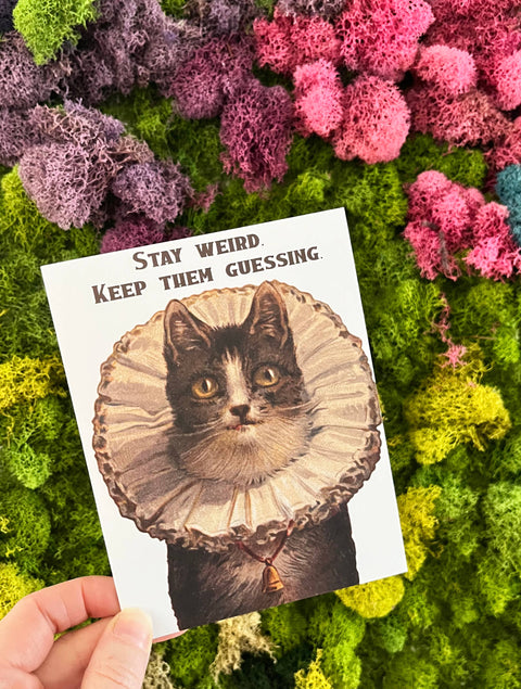 Stay Weird Funny Kitty Card
