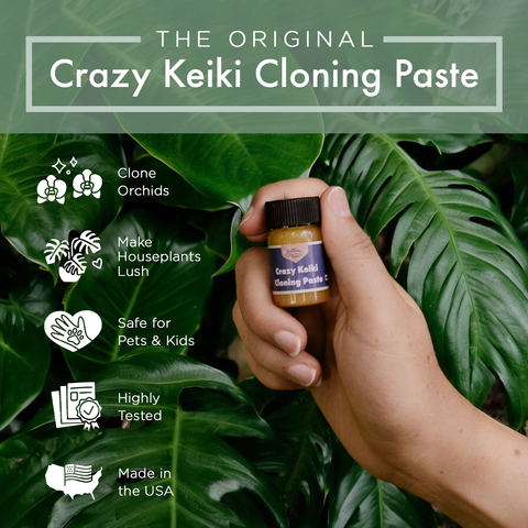 Keiki Cloning Paste