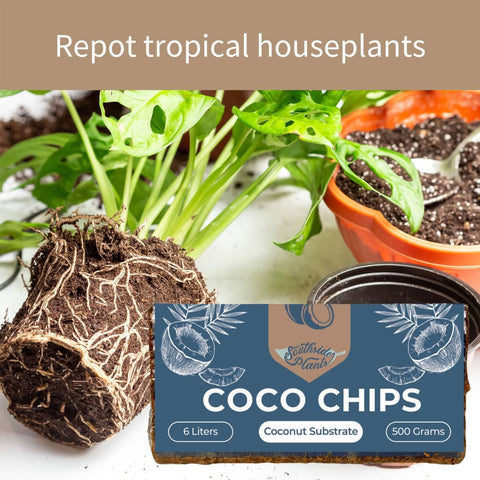 Coco Chip Chunky Houseplant Soil