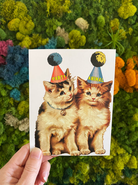 Party Cats Funny Card