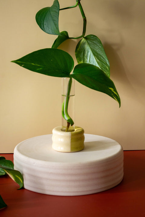 Ceramic Propagation Stand