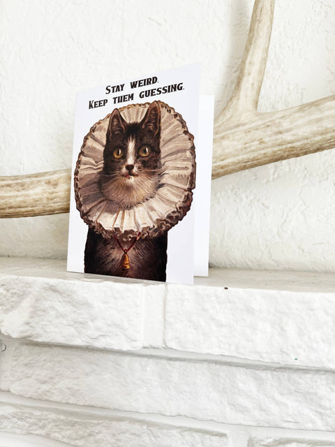 Stay Weird Funny Kitty Card