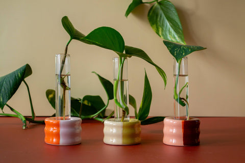 Ceramic Propagation Stand