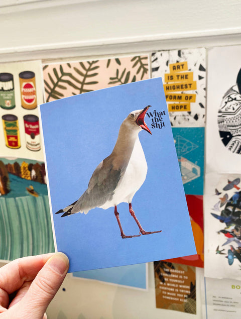 What the Shit Funny Seagull Card