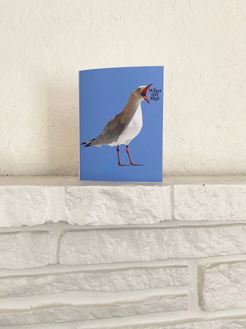 What the Shit Funny Seagull Card